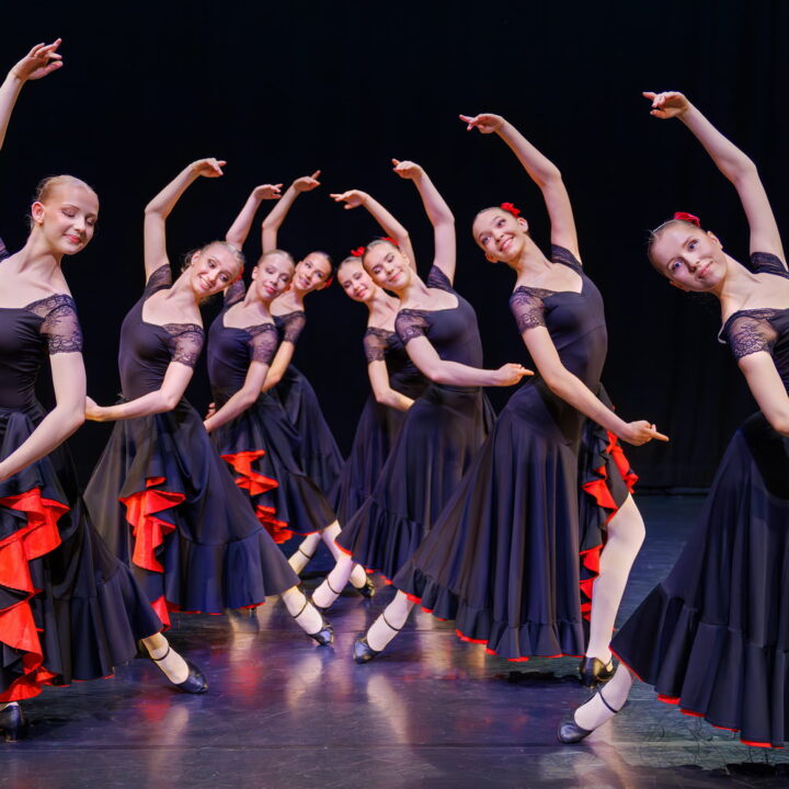 Pro Dance -gaala 2026: Tanssin monet kielet